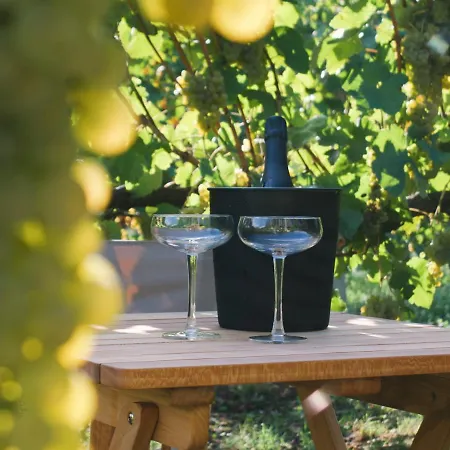 Отель Vinha By Nhome *