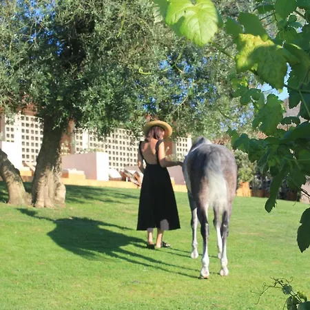 Vinha By Nhome Отель *