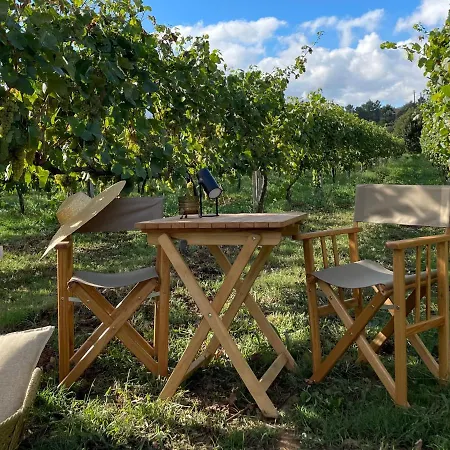 Отель Vinha By Nhome Понте-де-Лима