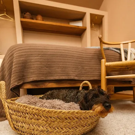 Отель Vinha By Nhome