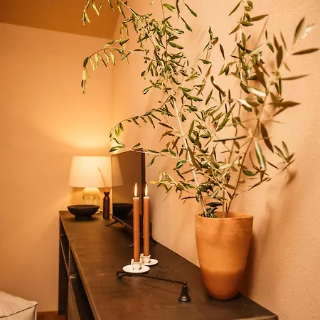 Vinha By Nhome فندق بونتي دي ليما