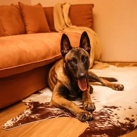 Vinha By Nhome Понте-де-Лима