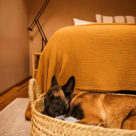 Vinha By Nhome * Понте-де-Лима