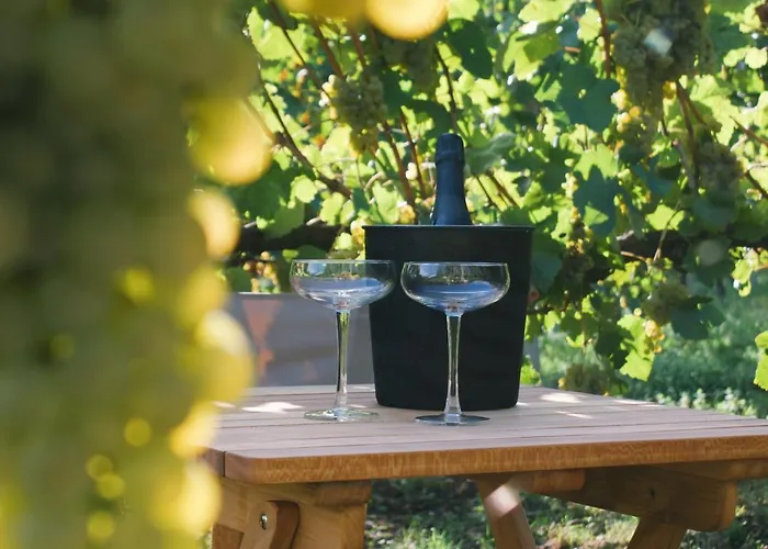 Hotel Vinha By Nhôme *