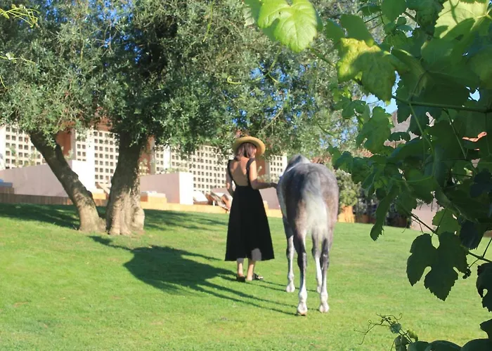 Vinha By Nhôme Hotel *