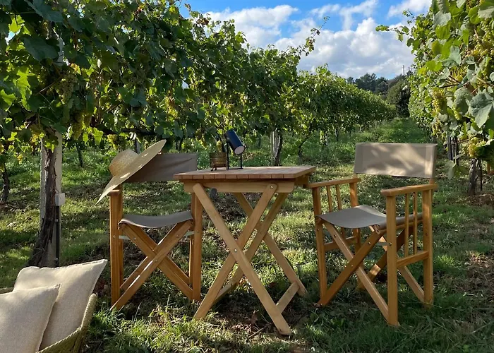 Hotel Vinha By Nhome Ponte de Lima