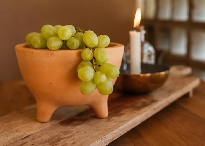 Vinha By Nhôme Hotel Ponte de Lima