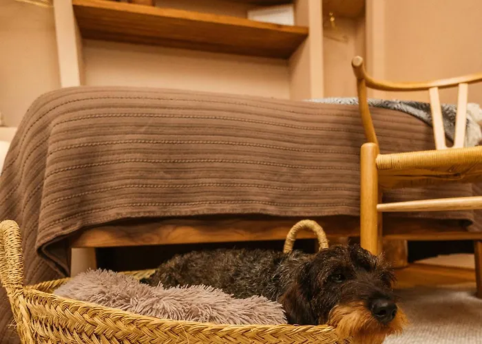 Hotel Vinha By Nhôme