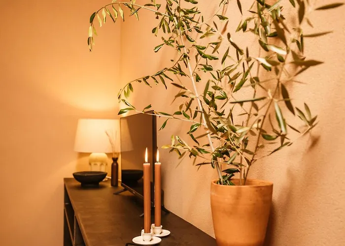 Vinha By Nhôme Hotel Ponte de Lima