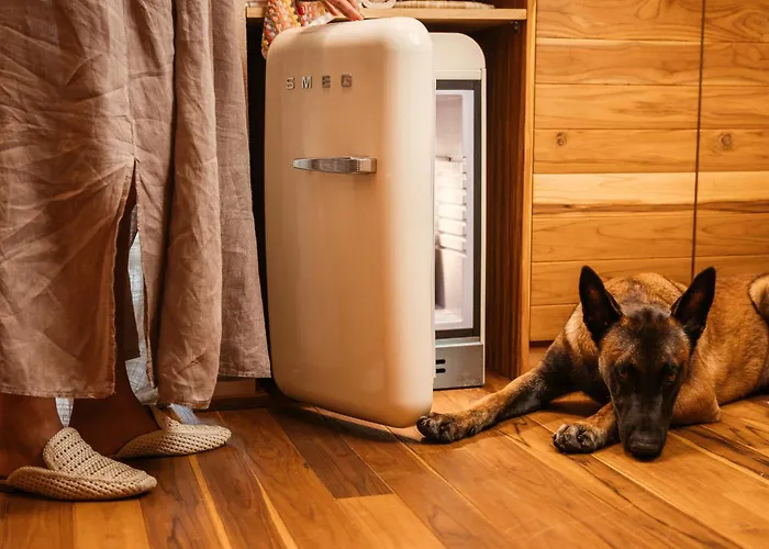 Vinha By Nhôme Hotel Ponte de Lima