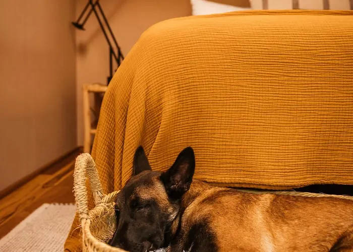 Vinha By Nhome * Ponte de Lima